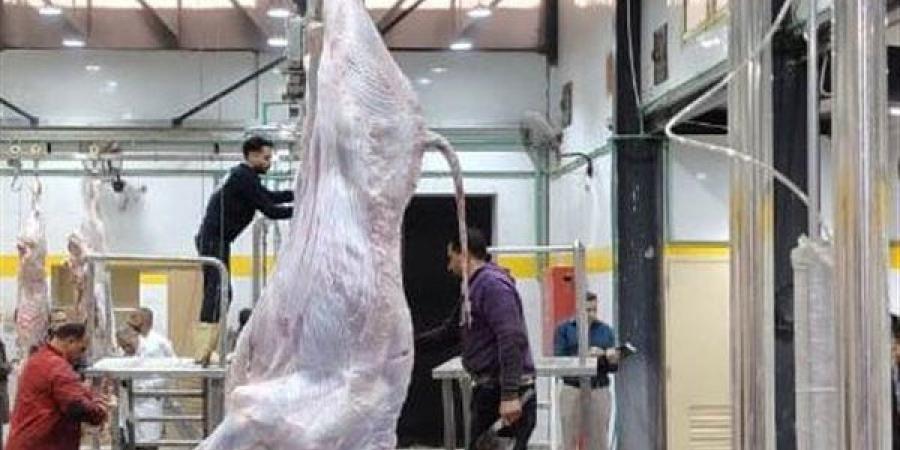 التنمية المحلية: تحويل 33 مجزرًا حكوميًا من العمل اليدوي إلى النظام نصف الآلي - النيل نيوز