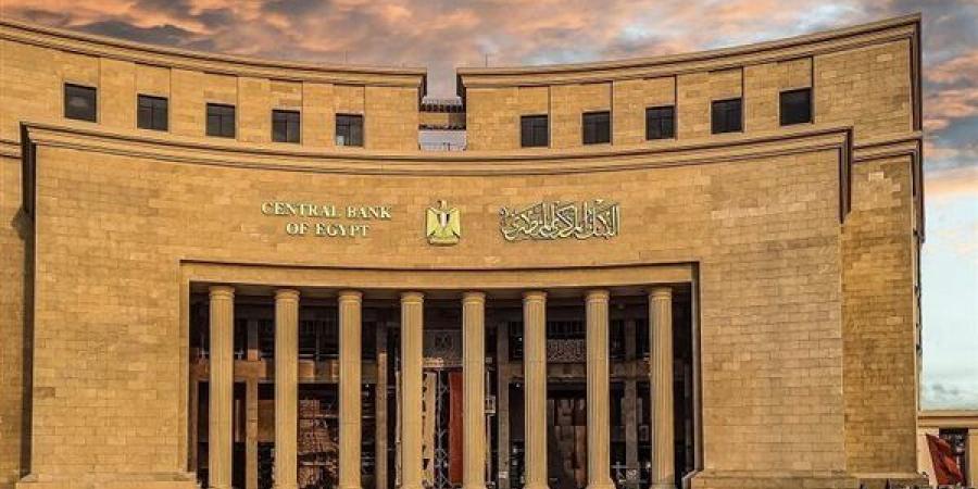 47.3 مليار دولار إجمالي تحويلات المصريين العاملين بالخارج خلال 2025 - 2026 - النيل نيوز