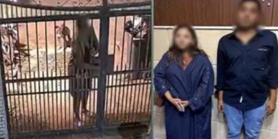 موظفة تثير غضب المواطنين بالمقطم - النيل نيوز