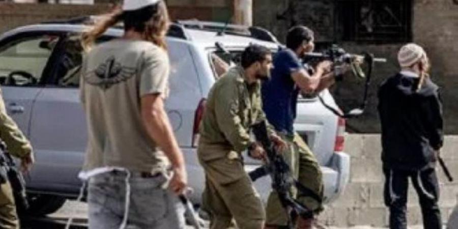 مستوطنون يواصلون اعتداءاتهم على الفلسطينيين وممتلكاتهم فى الضفة الغربية - النيل نيوز