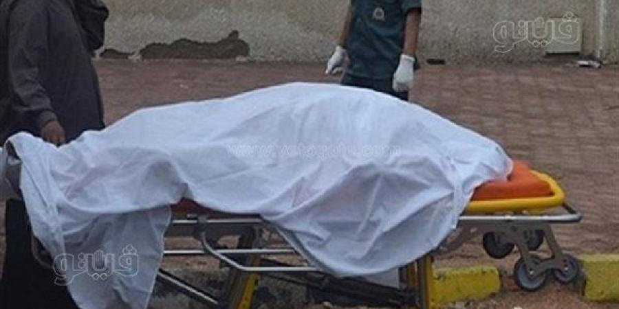 مصرع أب على يد ابنه في مشاجرة بينهما بالدقهلية - النيل نيوز