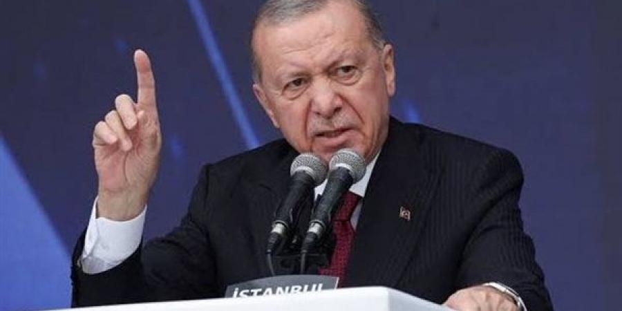 أردوغان: تركيا ليس لديها أي أجندة خفية - النيل نيوز
