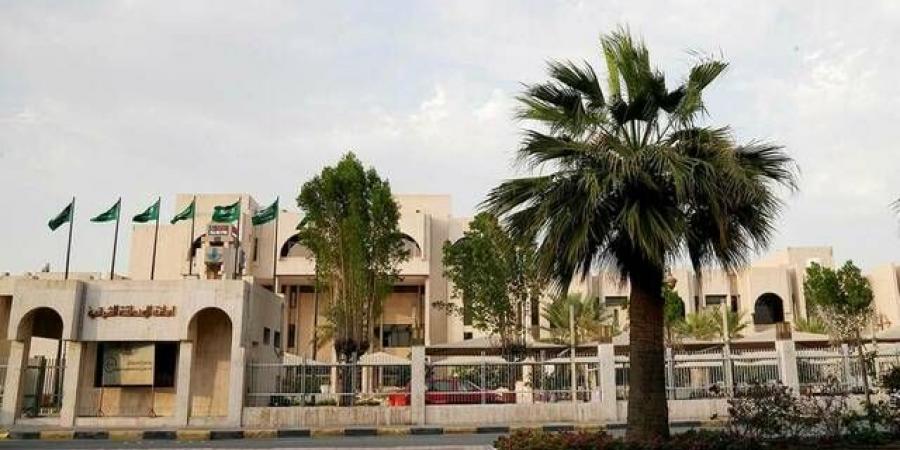 أمانة الشرقية تبحث تحويل الأرصدة الكربونية إلى فرص استثمارية وتنموية - النيل نيوز