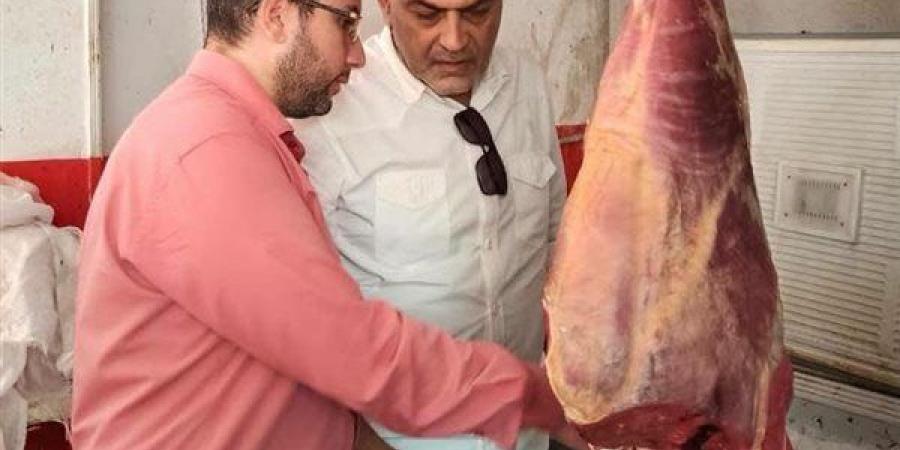 ضبط 770 كيلو لحوم مذبوحة خارج المجازر داخل ثلاجة بمدينة العبور - النيل نيوز