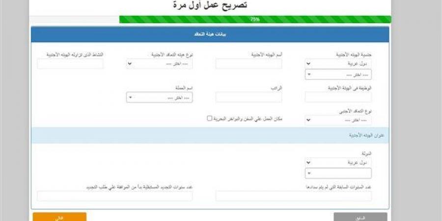 شروط إصدار وتجديد تصاريح العمل للمصريين بالخارج.. تعرف على المستندات والفئات المستثناة - النيل نيوز