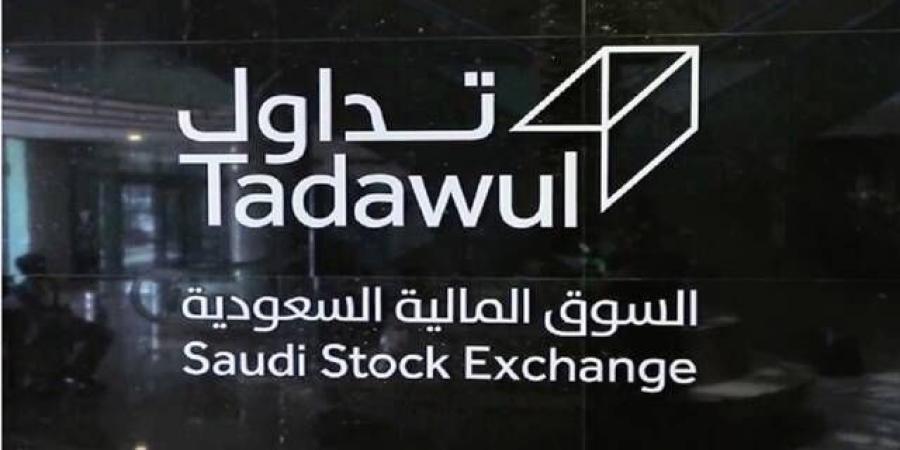 تداول السعودية توافق للأهلي المالية بمزاولة أنشطة صناعة السوق للعقود المستقبلية - النيل نيوز