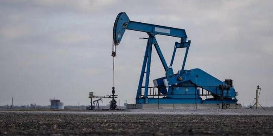   مباحثات هرمز تهبط بأسعار النفط - النيل نيوز