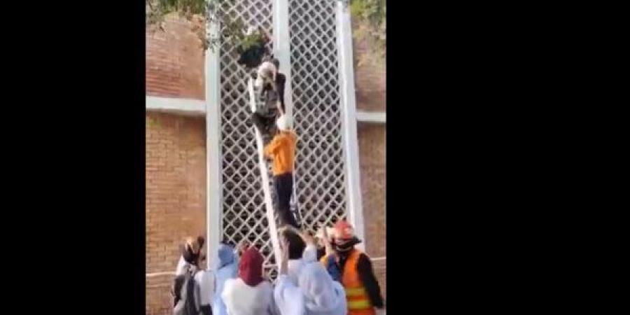 كارثة في باكستان، مصرع 14 رضيعا في حريق بأكبر مستشفى حكومي (فيديو) - النيل نيوز