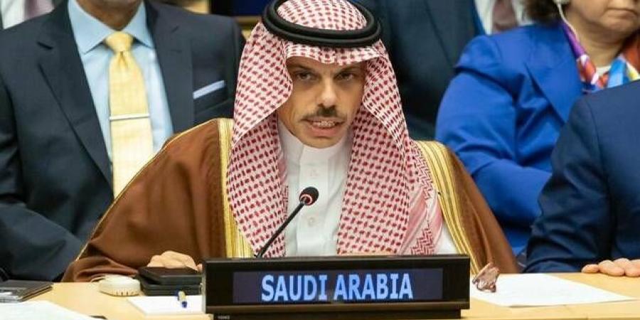 وزير الخارجية: المرحلة المقبلة تتطلب إصلاحاً جاداً لمنظمة التعاون الإسلامي - النيل نيوز