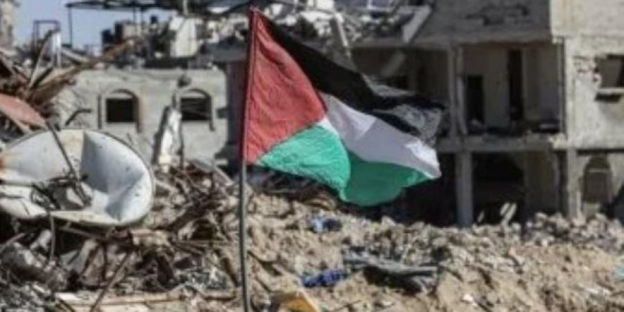باكستان: استمرار سقوط قتلى في غزة يثير تساؤلات حول الالتزام بوقف إطلاق النار - النيل نيوز