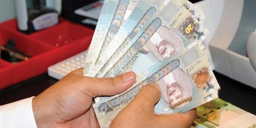 انخفاض سعر الدينار البحريني مقابل الجنيه بالبنوك المصرية مساء اليوم الأربعاء - النيل نيوز