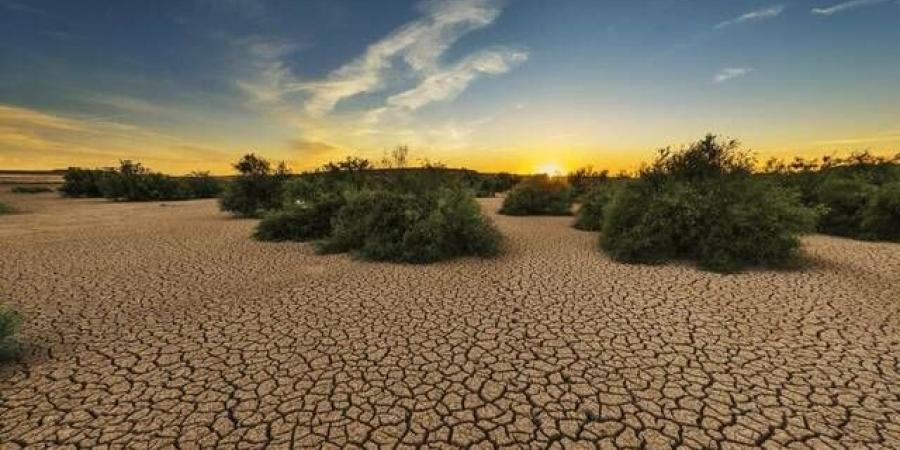 السعودية تقود شراكة عالمية لمقاومة الجفاف تضم 64 دولة وتعهدات بـ2 مليار دولار - النيل نيوز