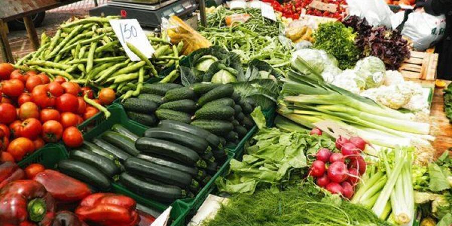 سعر الخضار اليوم، الطماطم تسجل 15 جنيها "جملة" وقفزة في خيار الصوب - النيل نيوز