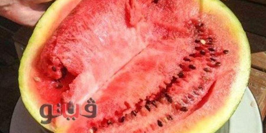 نقيب الفلاحين: «البطيخ السنة دي ميتاكلش والموسم انضرب» وتقاوي جديدة تحت المجهر - النيل نيوز