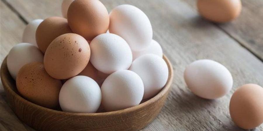فوائد وأضرار تناول البيض، هل هو الخيار المثالي مع اقتراب دخول المدارس؟ - النيل نيوز