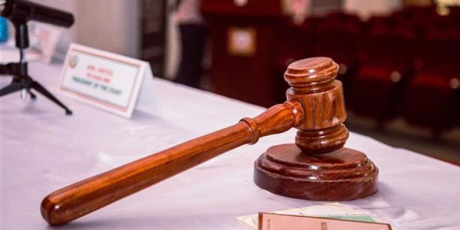 محاكمة 8 متهمبن باستعراض القوة وترويع المواطنين بالهرم.. 19سبتمبر - النيل نيوز