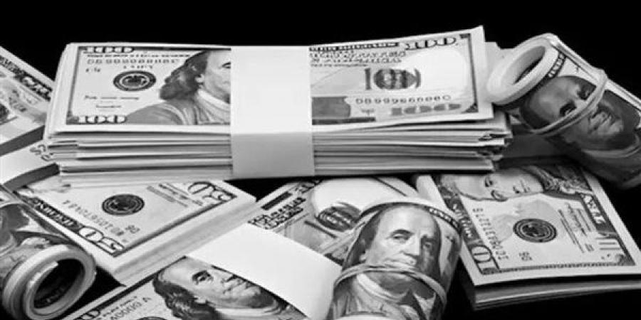 سعر الدولار فى البنوك المصرية 31 أغسطس 2026 ( أخر تحديث) - النيل نيوز